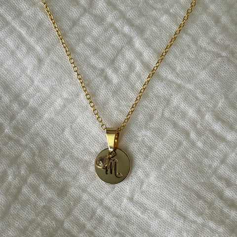 Charmed Zodiac Necklace