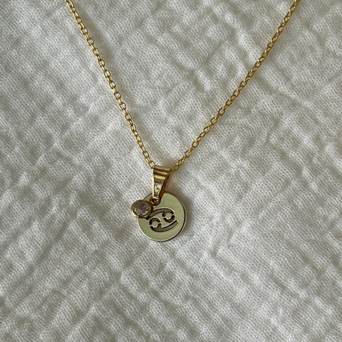 Charmed Zodiac Necklace