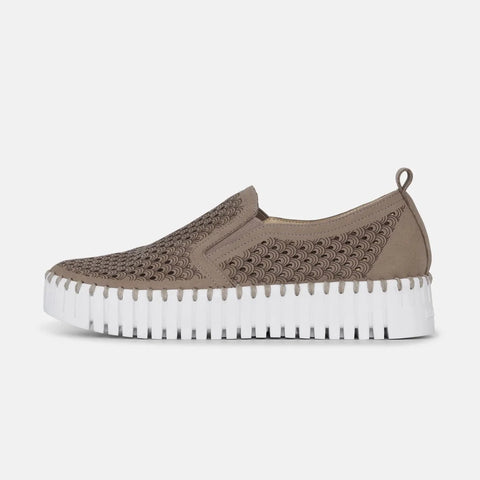 Tulip Platform Flat - Falcon