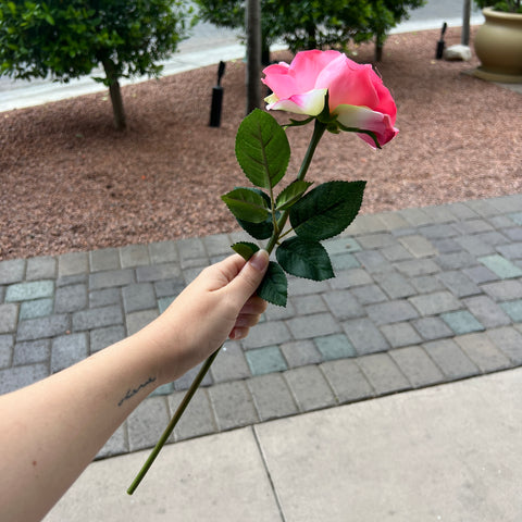 Pink Garden Rose - Single