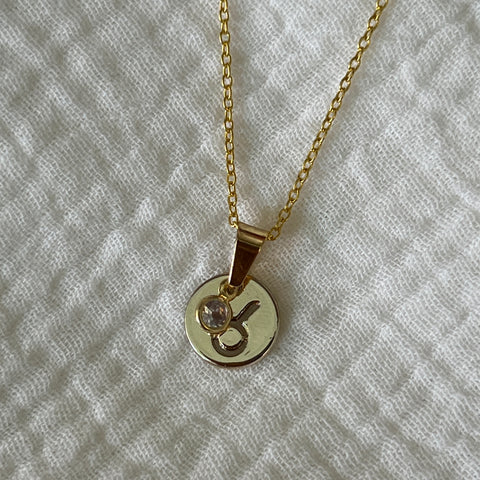 Charmed Zodiac Necklace