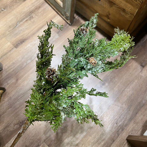 Frosted Cedar Sprig