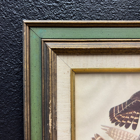 Vintage Bird Artwork
