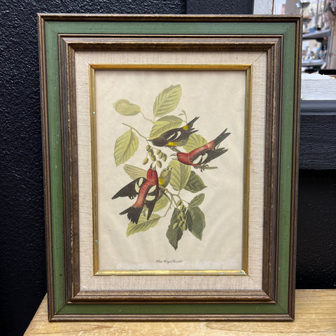 Vintage Bird Artwork