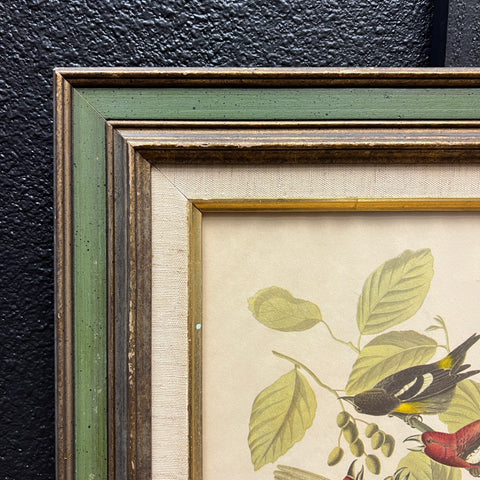 Vintage Bird Artwork