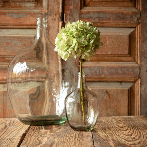 Green Hydrangea Stem