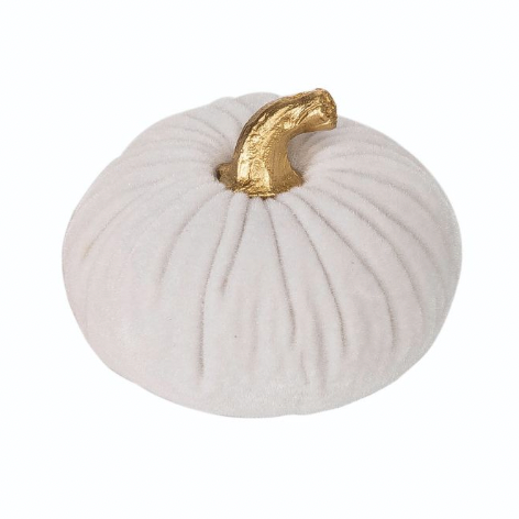 Velvet Ivory Pumpkin