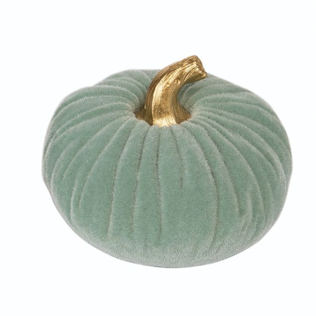 Velvet Cyan Pumpkin