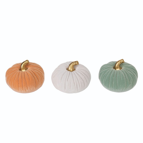 Velvet Ivory Pumpkin