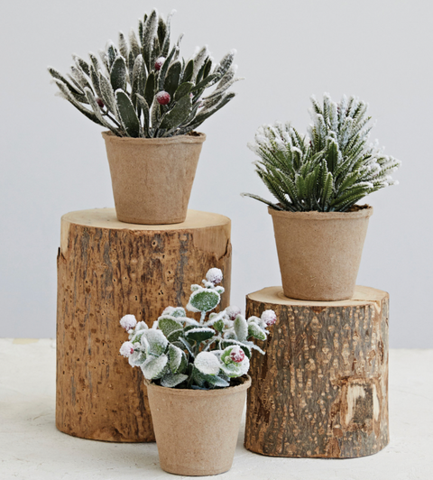 Paper Mache Pot with Faux Greens & Berries