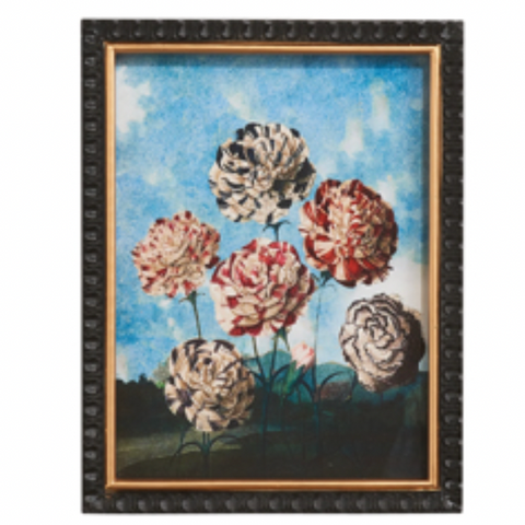 Robert Thornton Botanical Wall Art