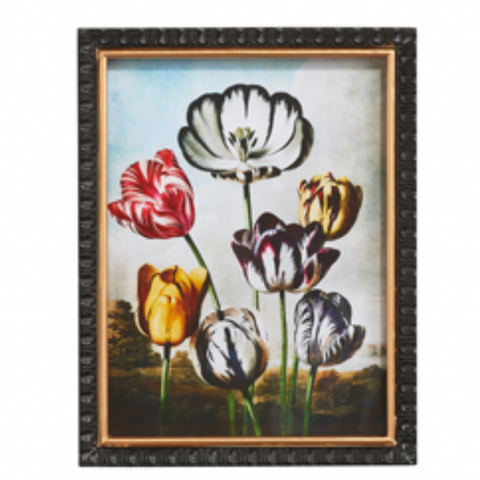 Robert Thornton Botanical Wall Art