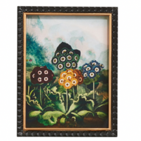 Robert Thornton Botanical Wall Art