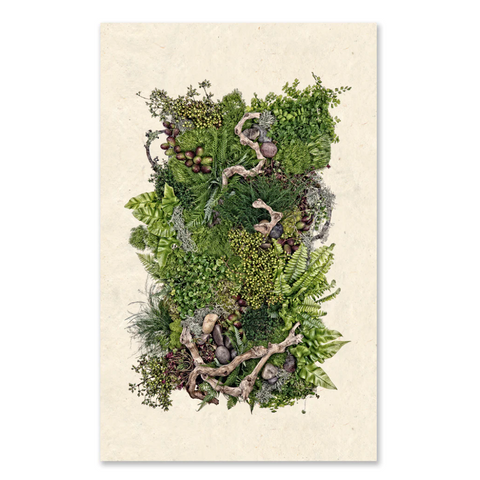 Forest Floor (collective ferns) Print
