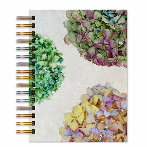 Hydrangeas Journal