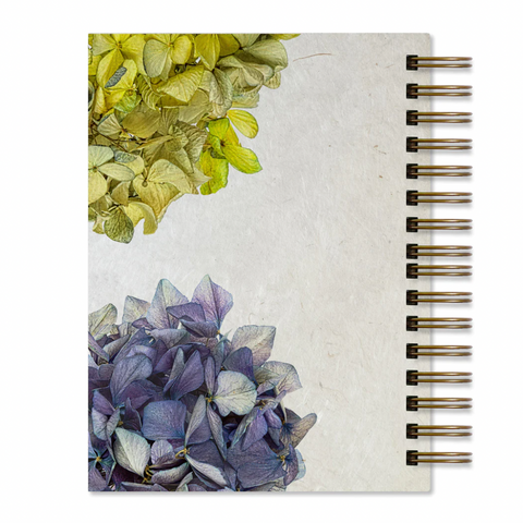 Hydrangeas Journal