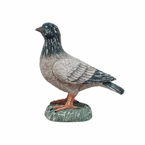 Vintage Pigeon