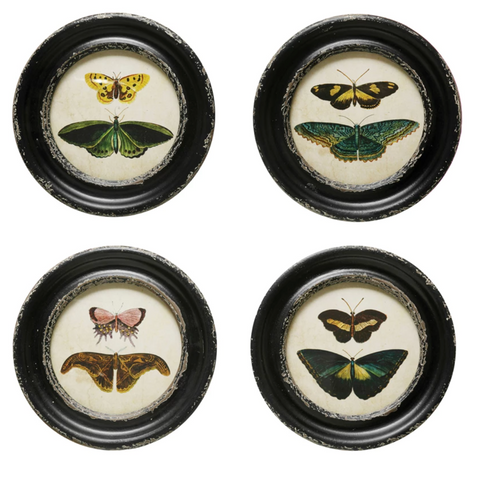 Moth/Butterflies Framed Wall Decor