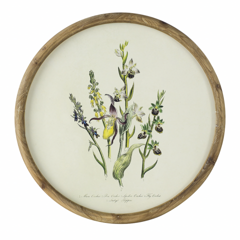 Round Flora Print