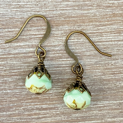 Earthen Beauty Earrings