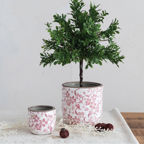 Potted plant with a decorative pot on a light surface with a white background
