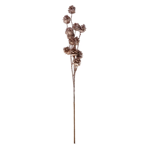 Decorative branch with dried flowers on a white background