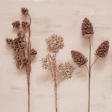 Set of dried flowers and plants on a textured beige background