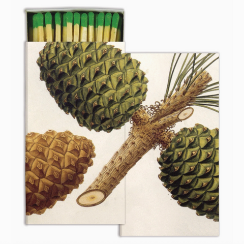 Pinecones Matches