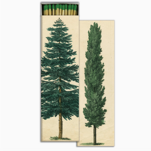 Matchbox with illustrations of trees on a beige background