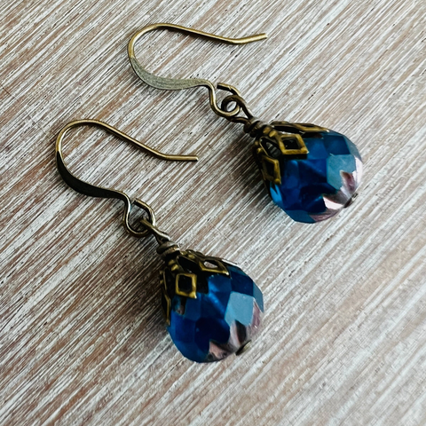 Earthen Beauty Earrings