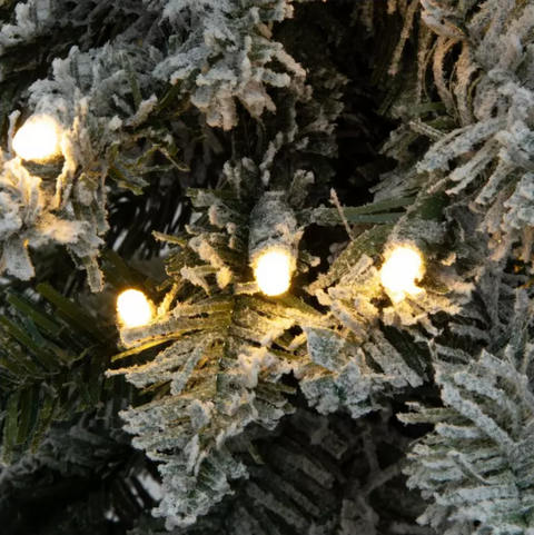 Coleman Flocked 5FT Tree