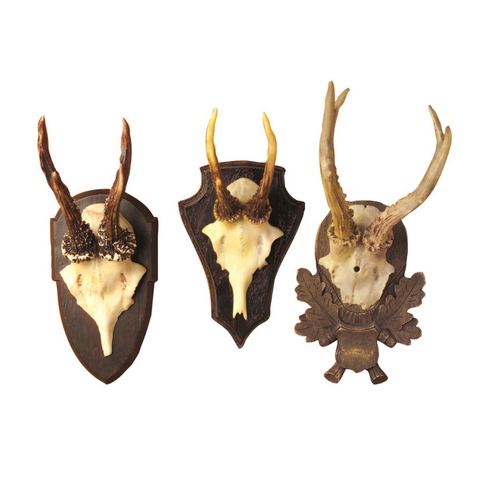 The Hunt Club Antler Trophy