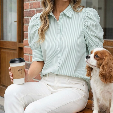 Collared Neck Stripe Blouse
