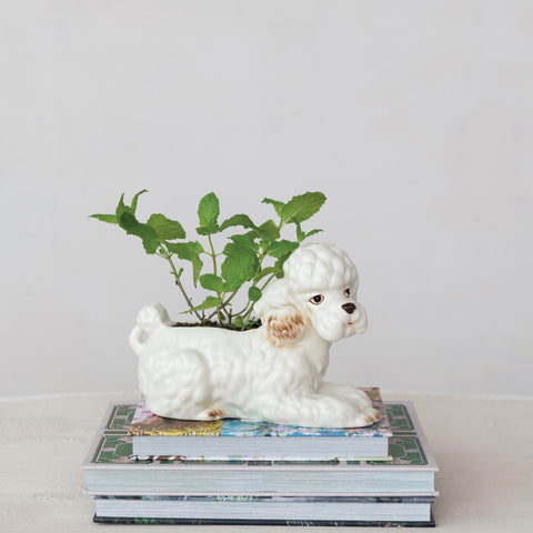 Poodle Stoneware Planter
