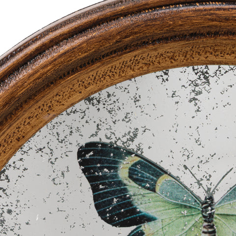 Butterfly Wall Mirror & Hook